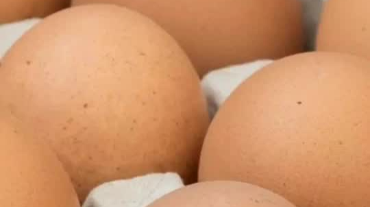 2月份全国鸡蛋价格下降！批发价同比降10.08%