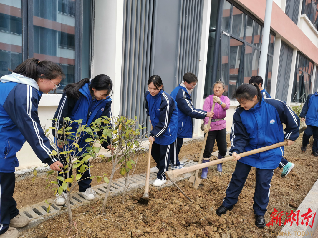 龙山县第二中学校园植树添新绿