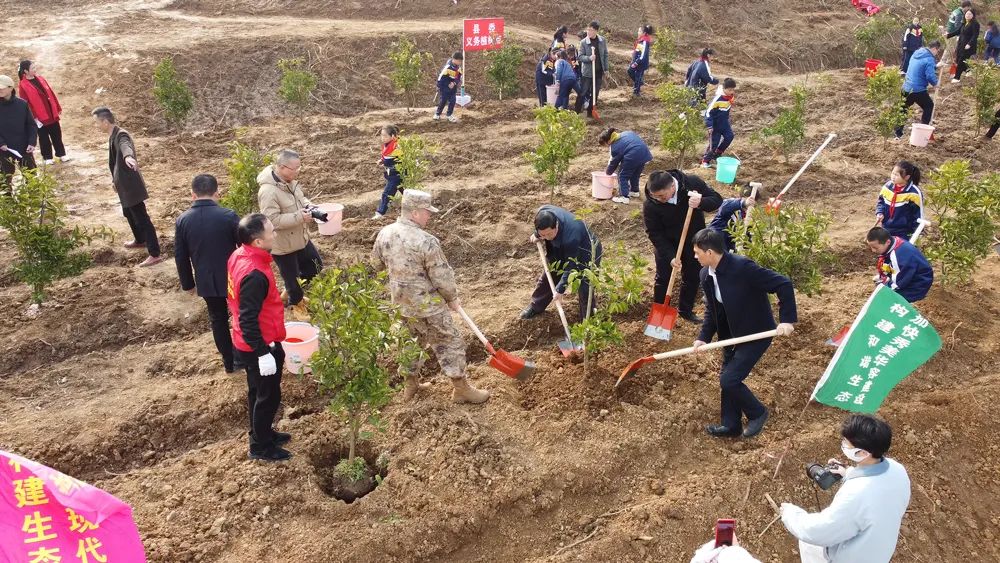 绿美乡村 为绿充“植”——华容县组织开展学雷锋义务植树活动
