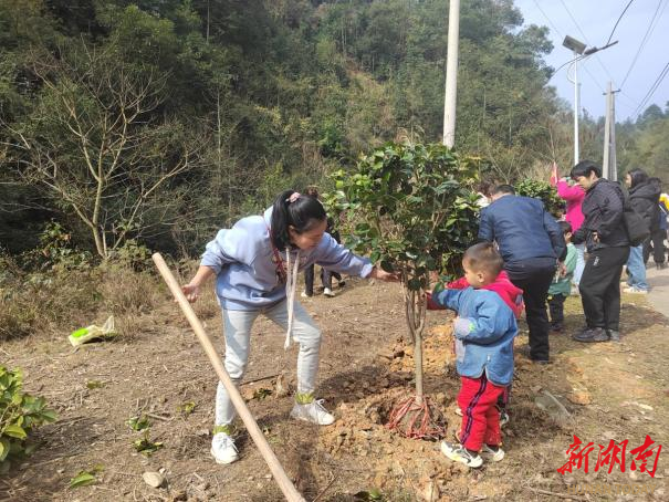 绥宁县残联携手康泰儿童康复中心开展植树活动