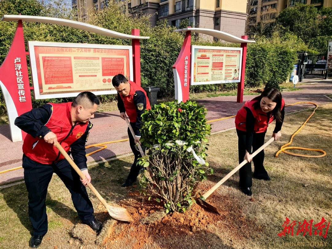 长沙卢浮社区：党建联建促环保 网格添绿“树”春意
