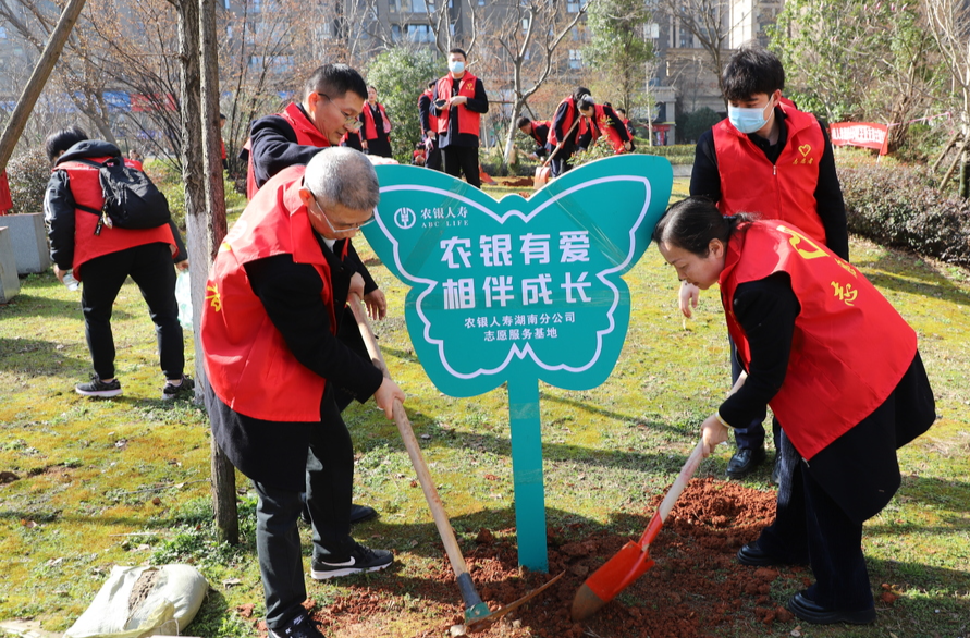 农银人寿湖南分公司开展志愿服务植树活动