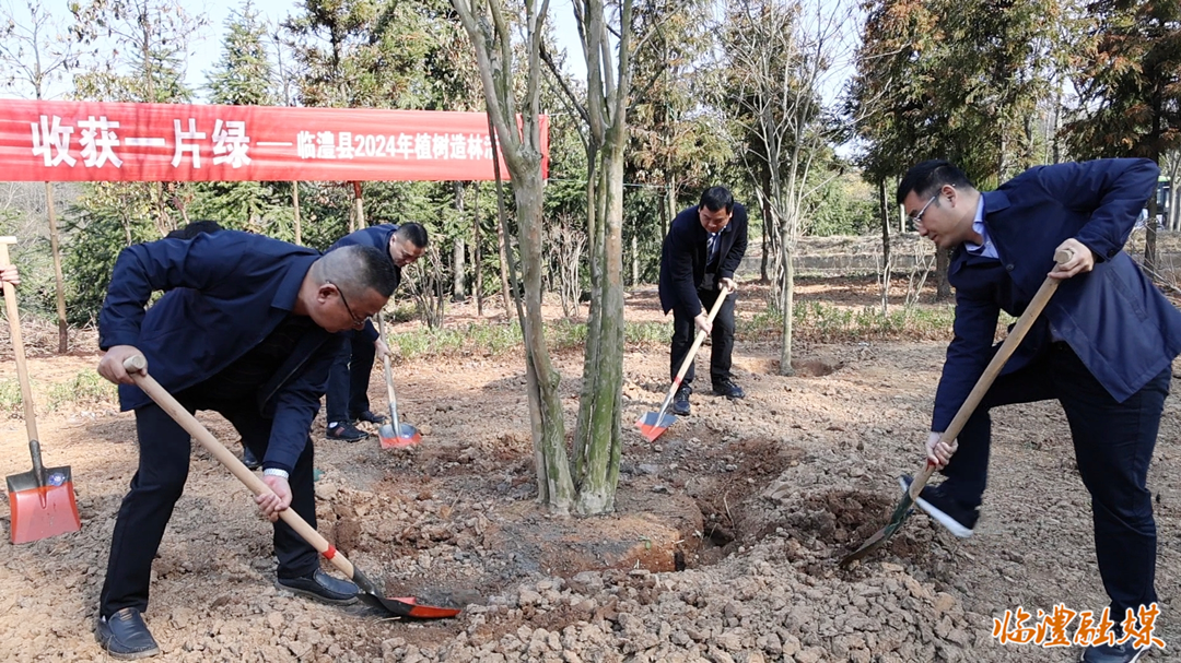李雨初等县领导参加义务植树活动