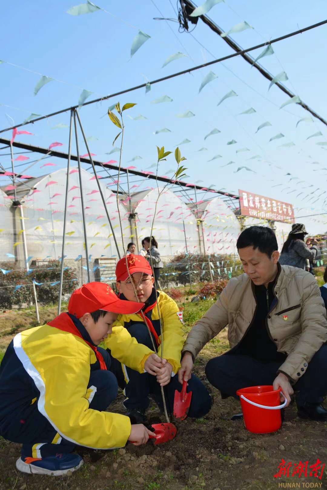 长沙市黄土岭小学党支部领爱回家之植绿筑梦爱暖童心植树节活动圆满