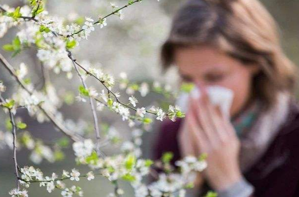 勿将过敏当感冒，北京已进入花粉期，一周后将进入花粉高峰期