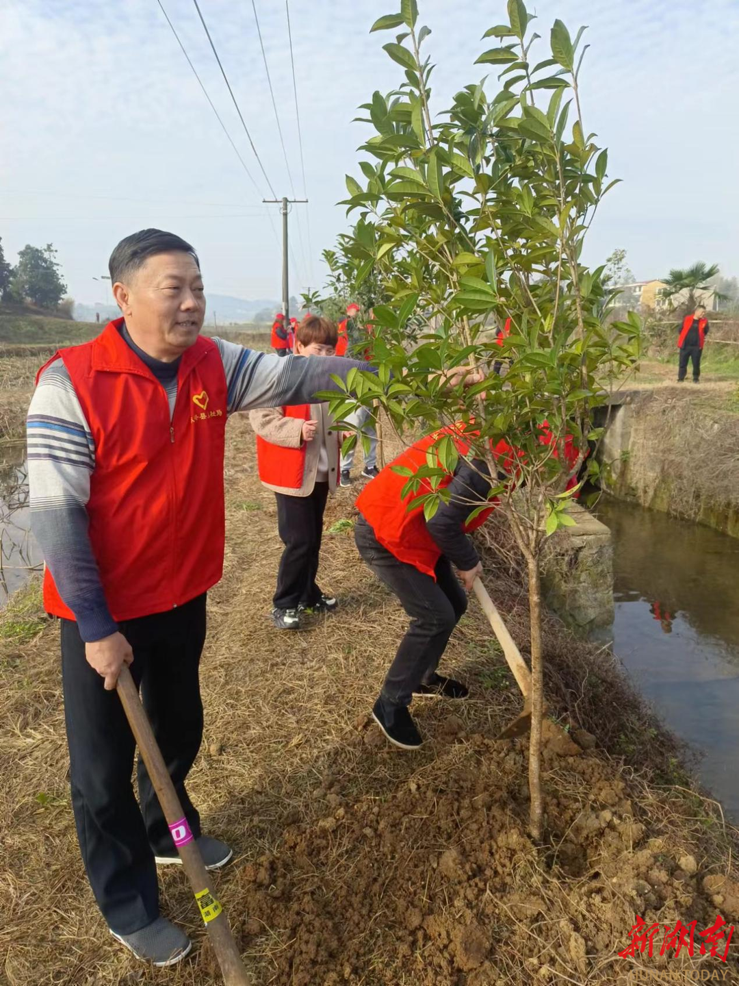 双峰县人社局开展义务植树活动