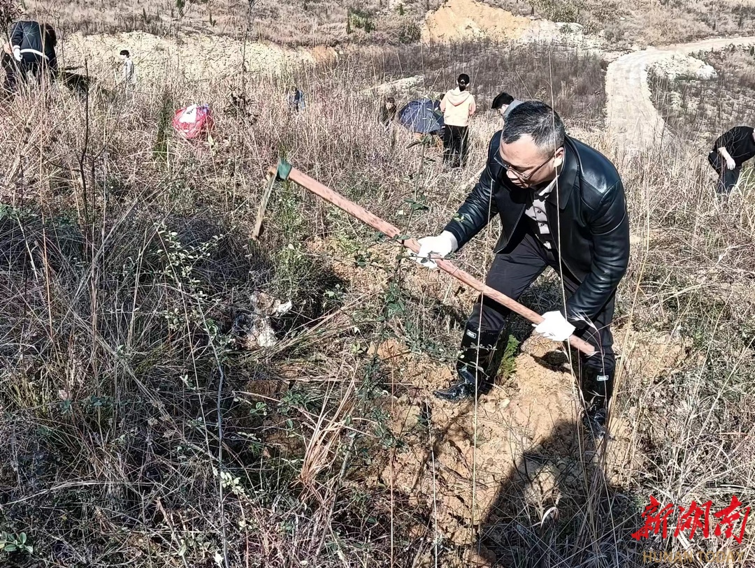 新田：植树造林助振兴 宜居宜业新农村