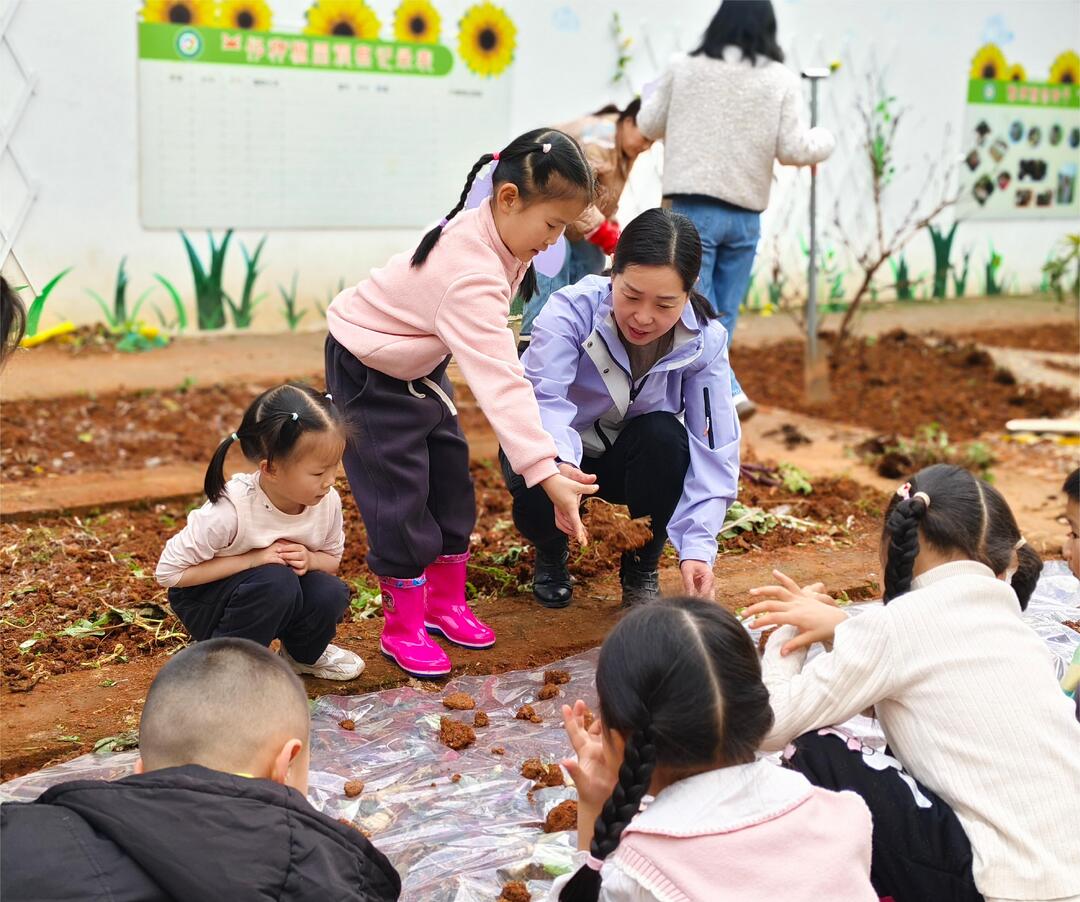 华容县第一幼儿园开展种植活动
