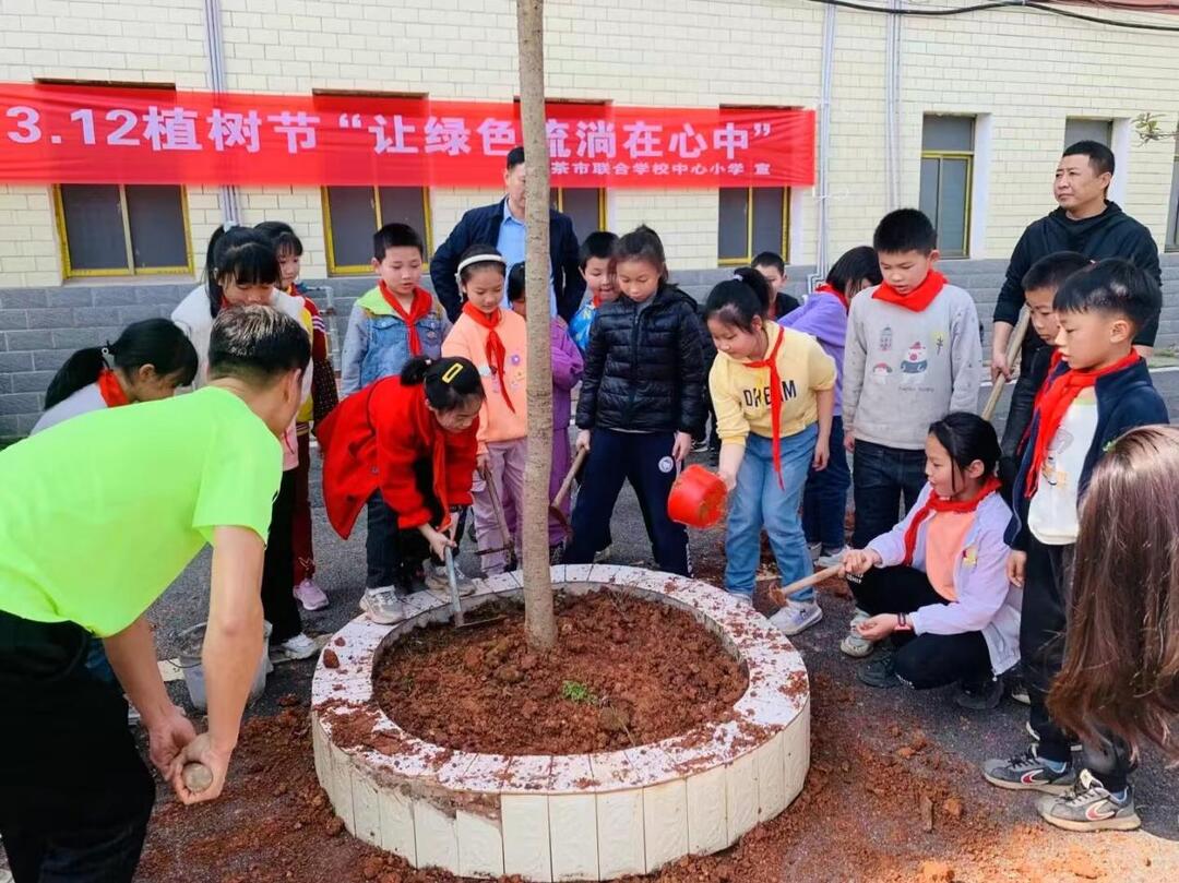 衡南县茶市联合学校中心小学开展植树节活动
