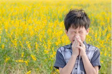 花粉季如何应对儿童过敏性鼻炎？（医说新语）
