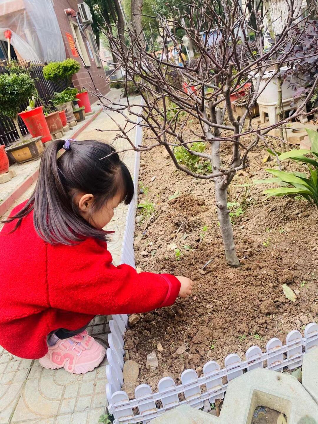华容县第二幼儿园开展植树节活动
