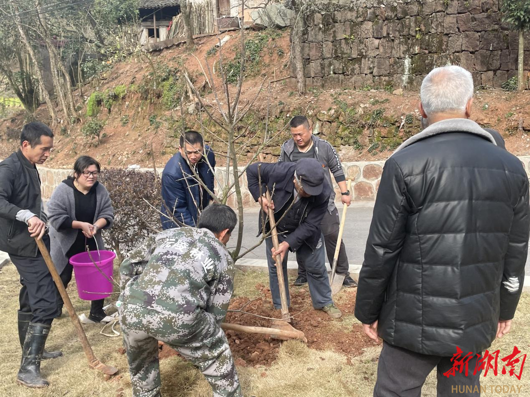 沅陵县马底驿乡长界村植树美村拉动庭院经济