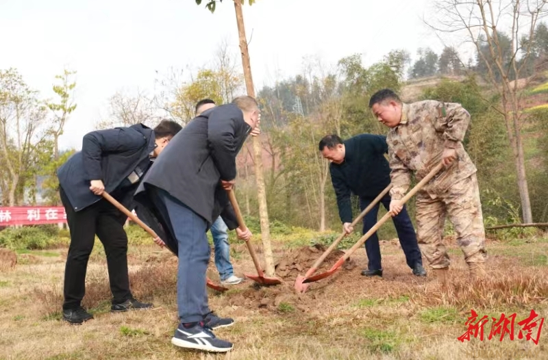 龙山县林业局开展全民义务植树活动