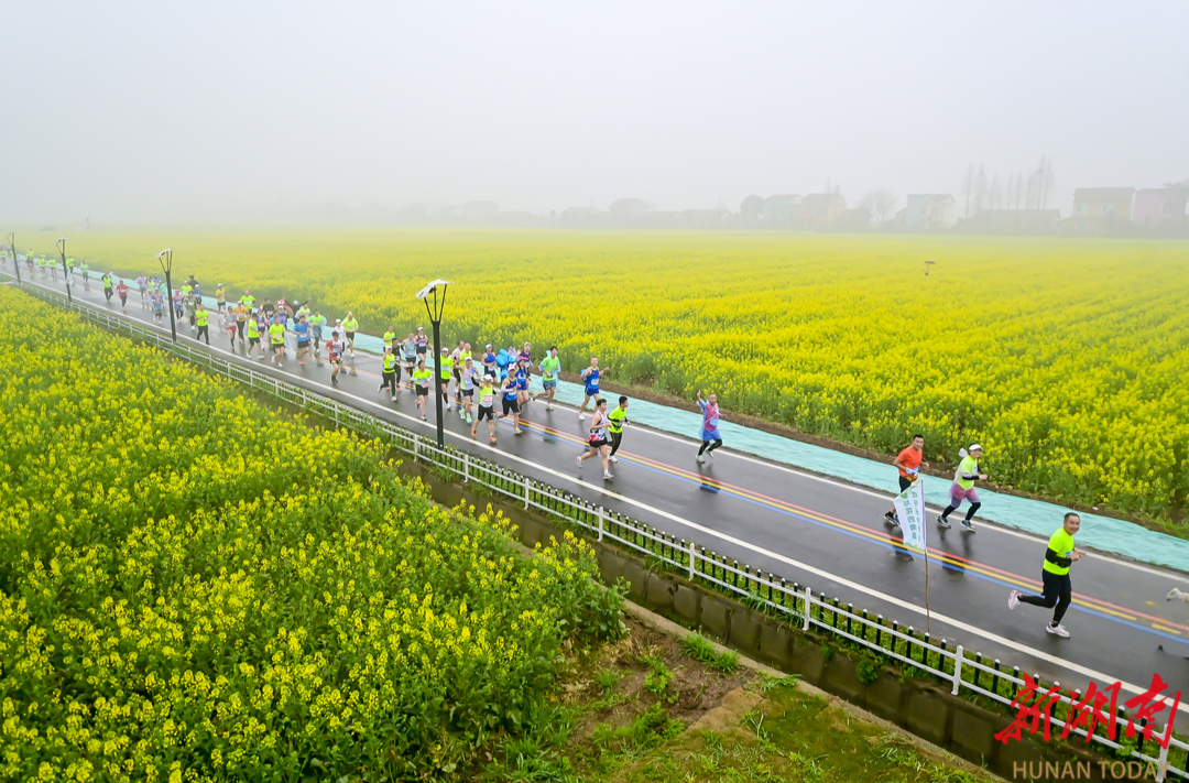 4500余名选手在南县跑进万亩花海，尽享田园春色