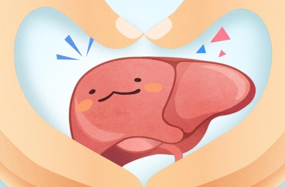 肝“胖”了不容小视 运动比饮食更关键