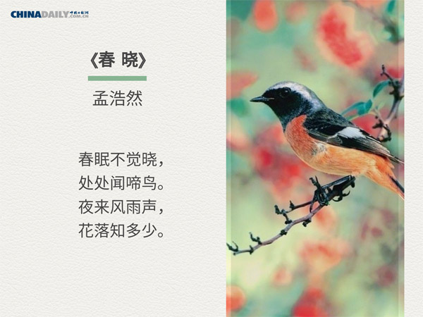 关于春天的五首古诗 (I) Five ancient Chinese poems about spring (I)