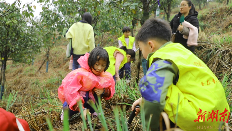 绿意伴爱意成长 锦溪小学开展抚育管护树苗公益活动