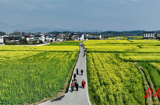 Flower Economy Blooms in Liuyang
