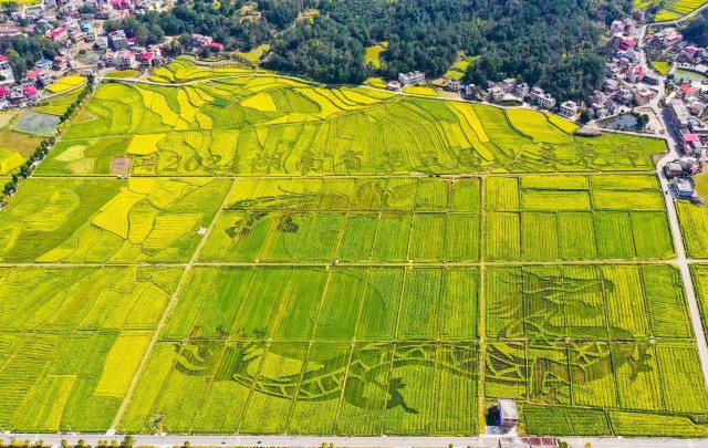 2024 Hengyang Spring Cultural Tourism Festival Opens