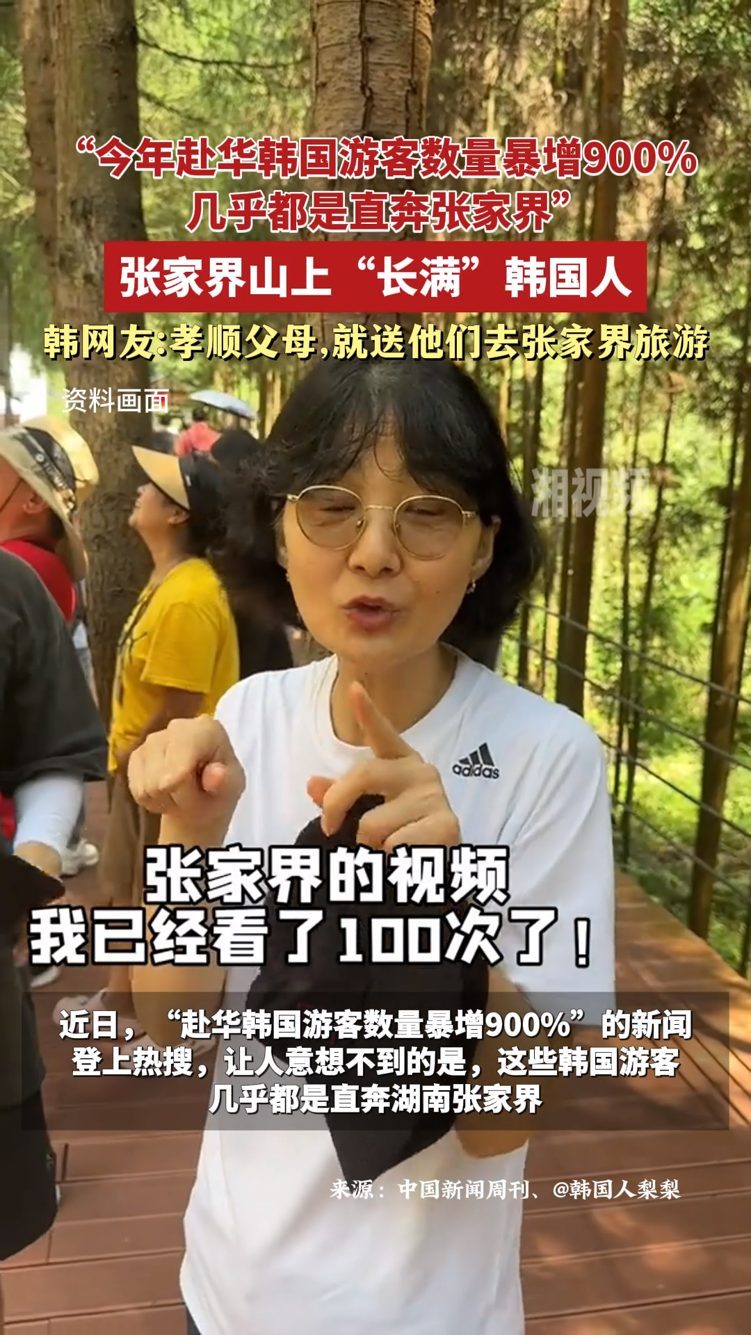 张家界山上“长满”韩国人！韩网友：孝顺父母，就送他们去张家界旅游