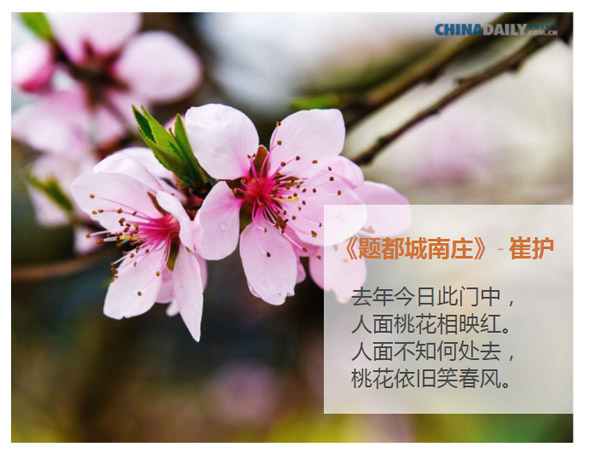 关于春天的五首古诗 (II) Five ancient Chinese poems about spring (II)