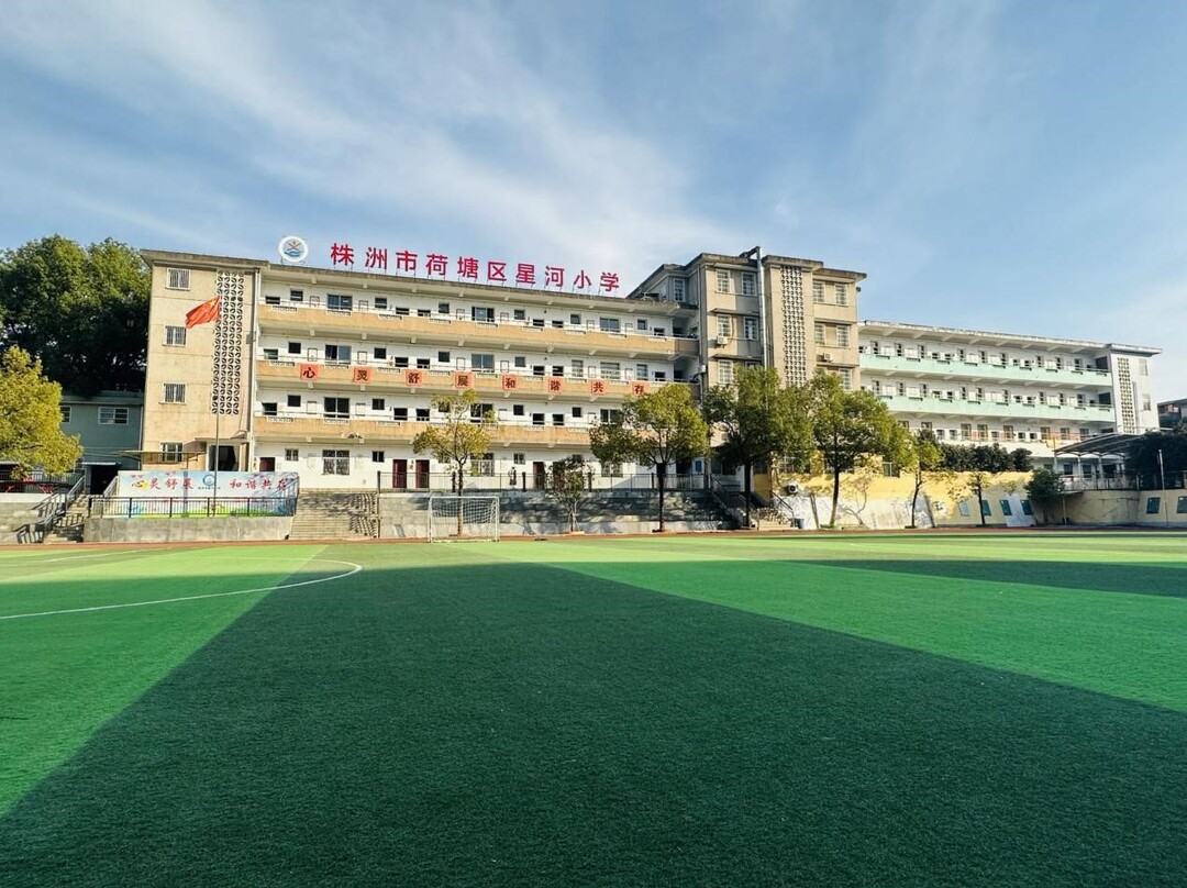 株洲星河小学图片