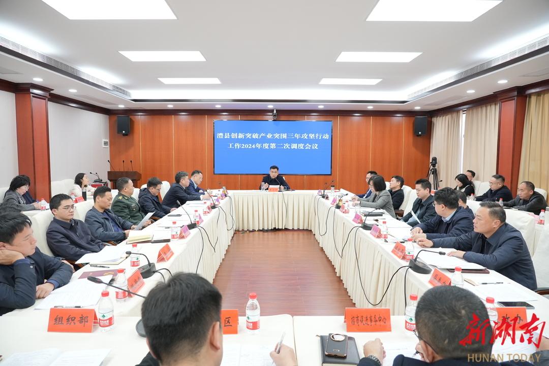 澧县创新突破产业突围三年攻坚行动工作2024年度第二次调度会议召开