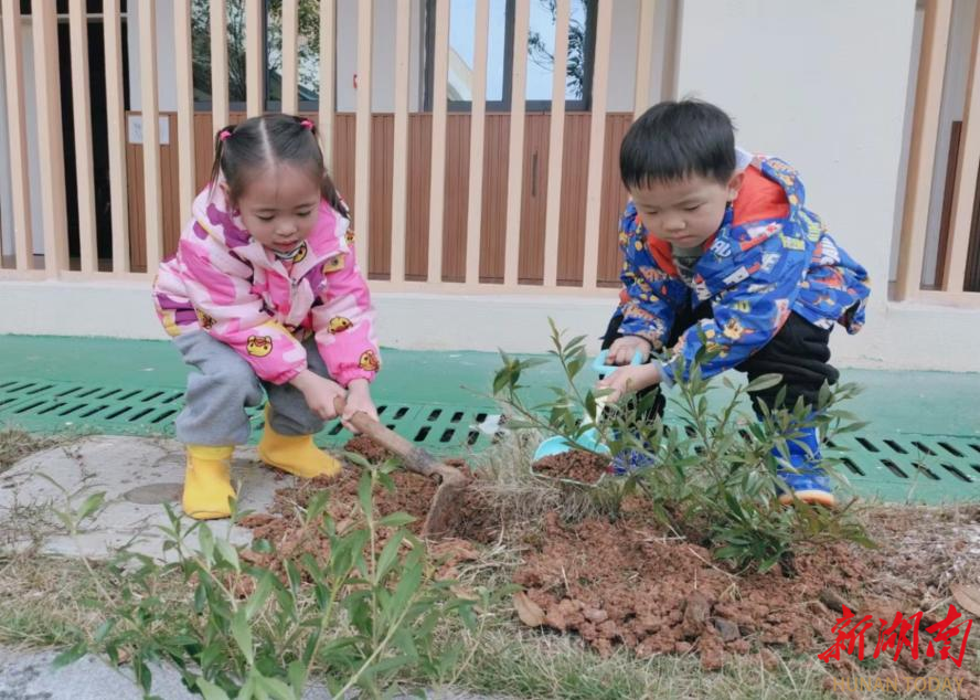 怀化市鹤城区第二幼儿园：耕种一个春天
