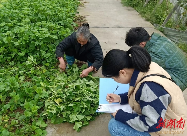 洪江区农业农村水利局：多举措积极提升农产品质量安全水平