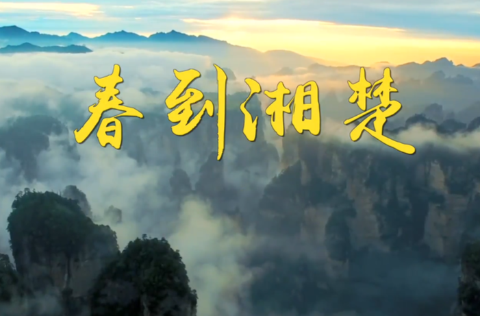 第1視點(diǎn)丨春到湘楚