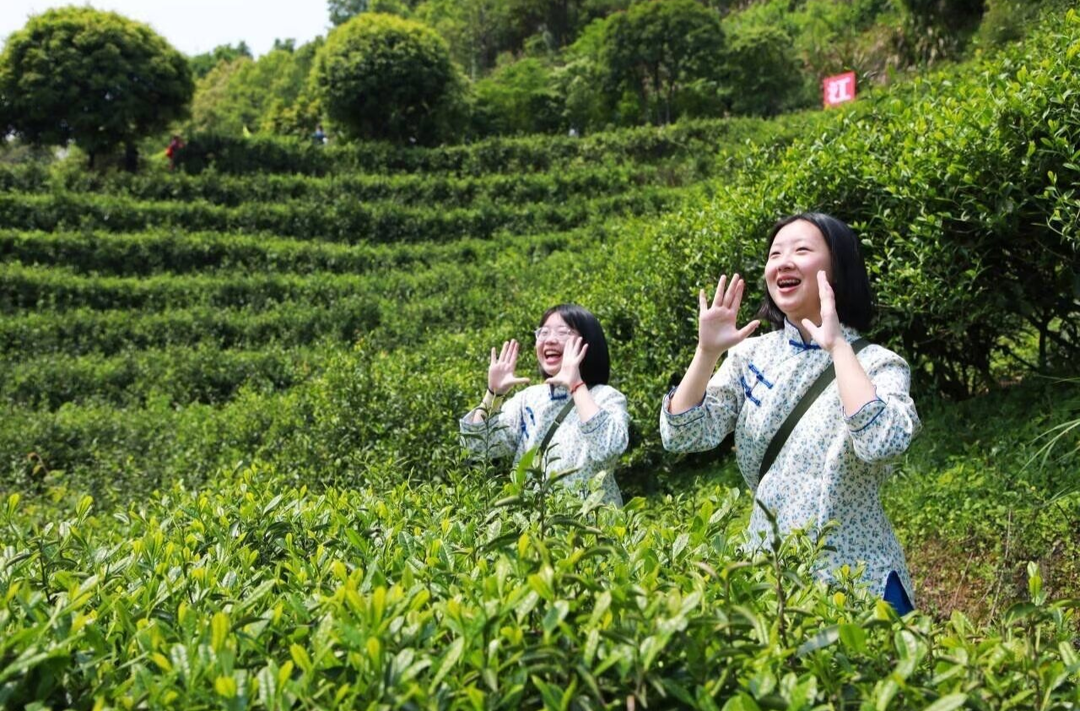 “茶”歌唱出幸福來！耒陽市第二屆貢茶文化節(jié)之茶歌大賽將于3月29日開幕