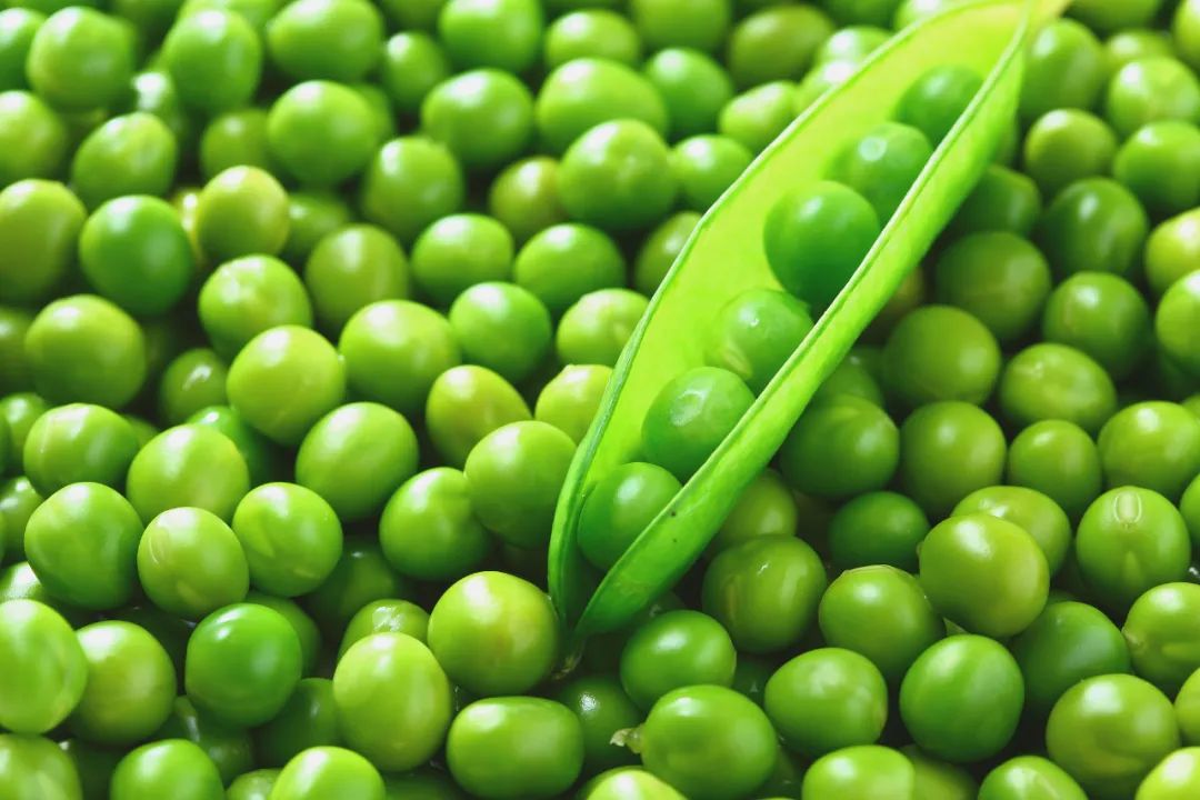 这种豆子营养满分，高蛋白、高钾，春天吃正好！