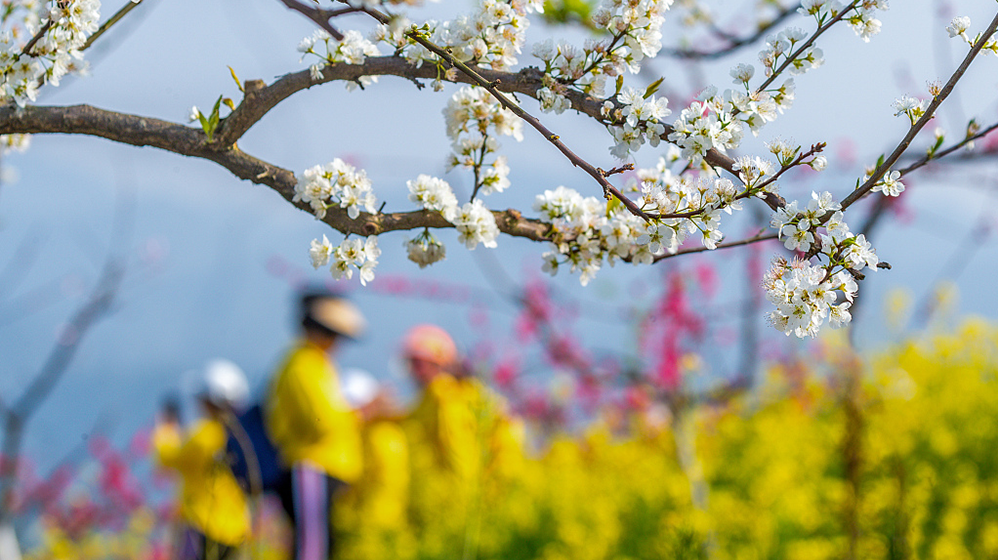 清明小长假旅游预订量同比翻倍增长，“拼假”出境游持续升温