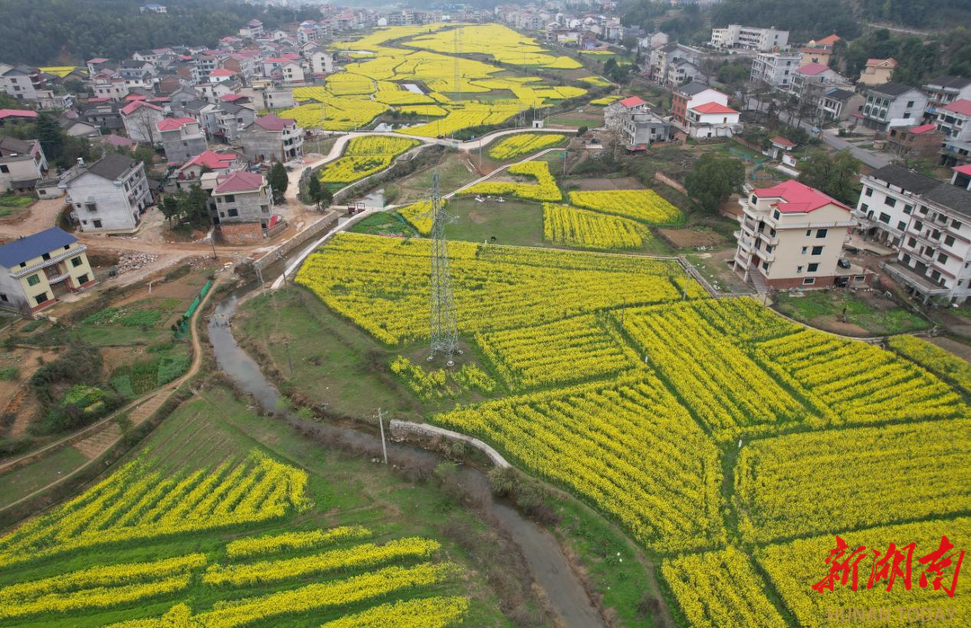 涟源市斗笠山镇吴浩图片