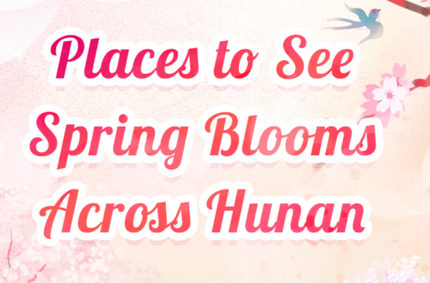 春花烂漫，湖南赏花去哪儿？Places to See Spring Bloom Across Hunan