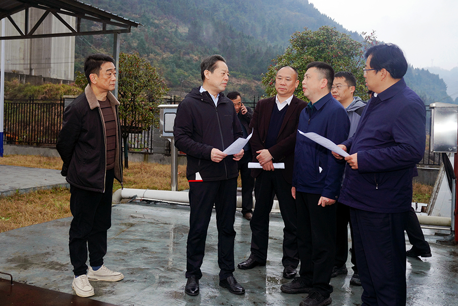 湘西州领导齐出动推进突出生态环境问题整改