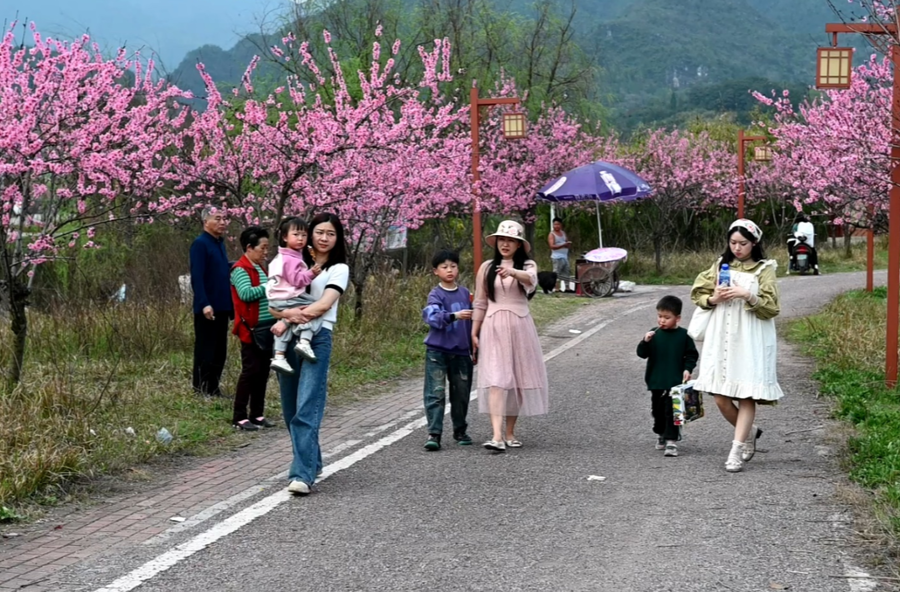 新邵：白水洞村300余亩桃花盛开，吸引游客踏青赏花
