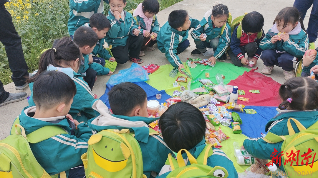 安化县乐安镇中心幼儿园开展“漫步油菜花海，邂逅烂漫春光”踏青远足活动