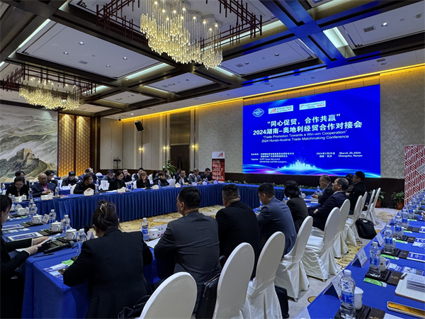 Hunan-Austria Trade Matchmaking Conference Held in Changsha