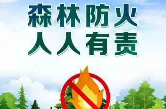 省林业局部署“清明”“五一”期间森林防火工作