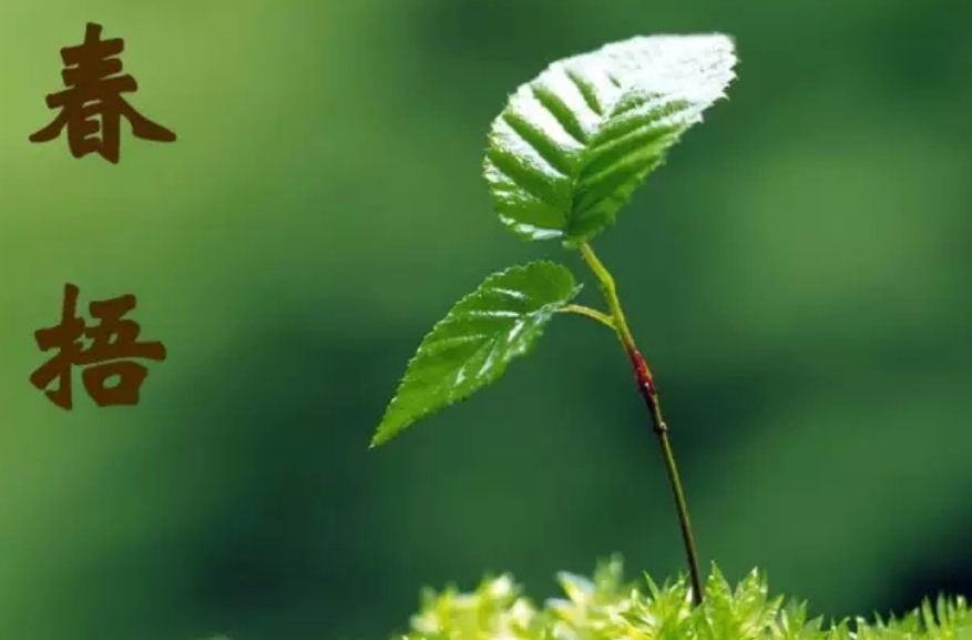 春捂秋冻，不生杂病!春捂应该怎么捂?