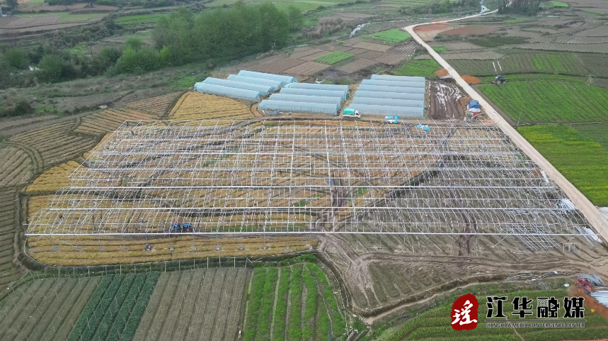 卢喜翠：抢建育秧大棚 种植水稻大发展