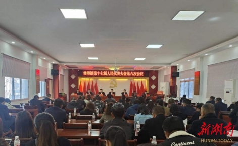 临澧县修梅镇第十七届人民代表大会第六 次会议成功召开