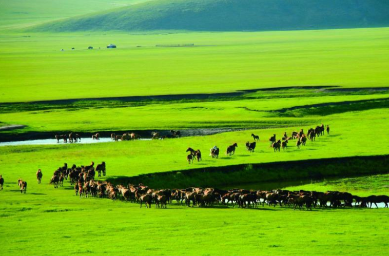 内蒙古80家A级旅游景区将免门票
