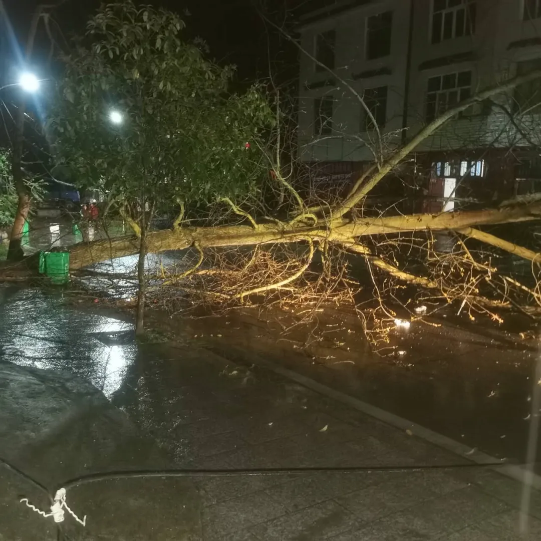 湖南多地出现雷暴大风,冰雹等强对流天气!1日湘北,2日