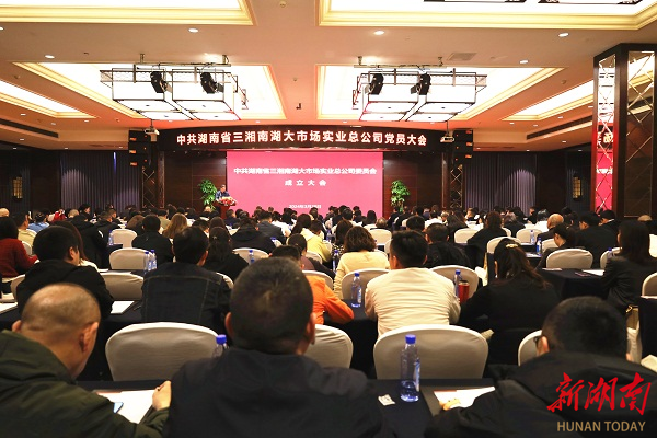 三湘南湖大市场实业总公司党委成立大会胜利召开