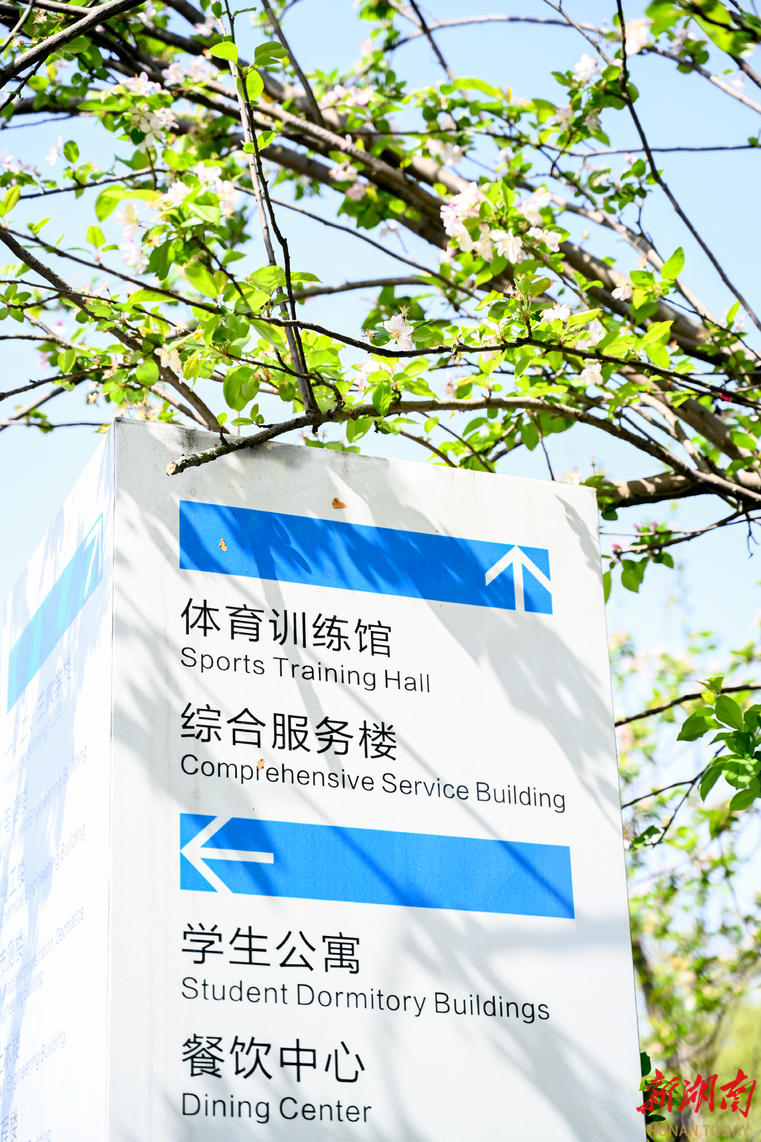 图集湖南城市学院校园花开好读书