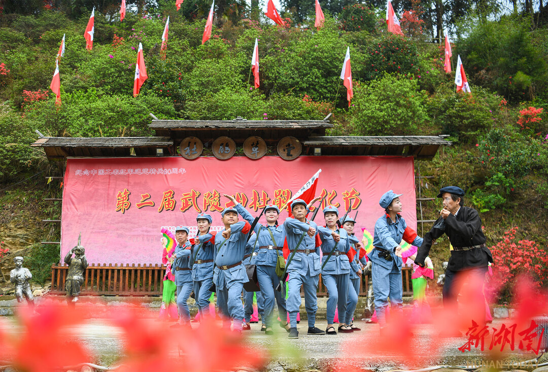武陵山杜鹃文化节在通道杜鹃草堂举办