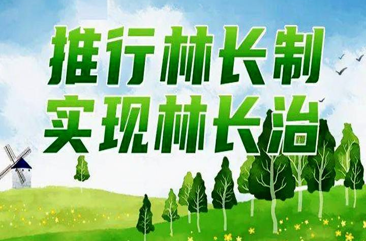 湖南汉寿林长制为林业高质量发展注入活力
