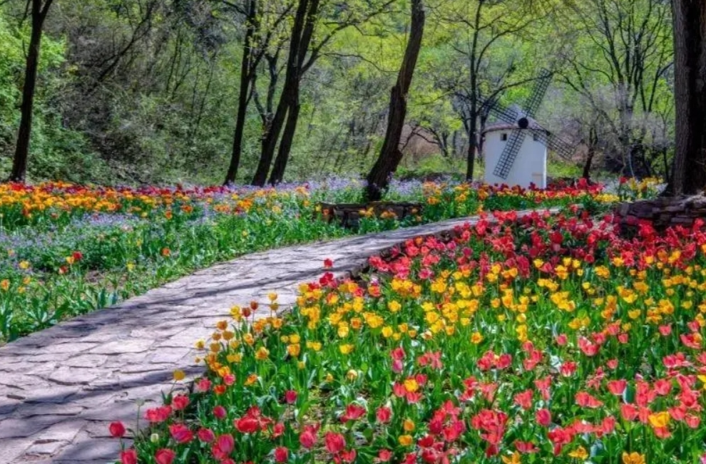 踏青出游热度持续攀升 本地消费市场人气旺盛 清明小长假“别样经济”来袭